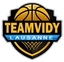 Logo TEAMVIDY