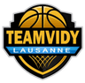 Logo TEAMVIDY