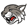 Logo Lynx