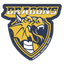 Logo Dragons